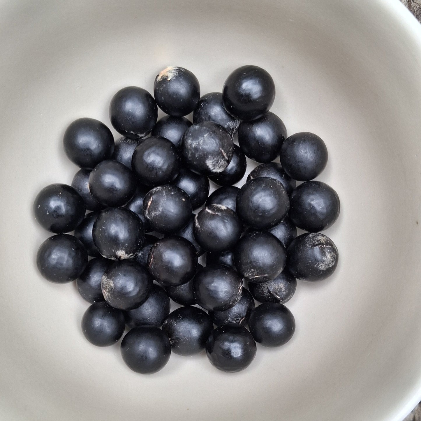 Graines du Sapindus Mukorossi, appelé aussi Arbre à savon
