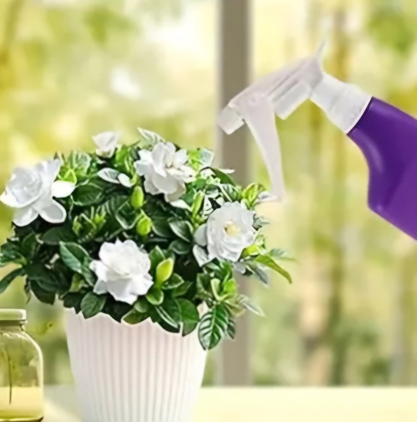 Mallette de jardinage toute fleurie