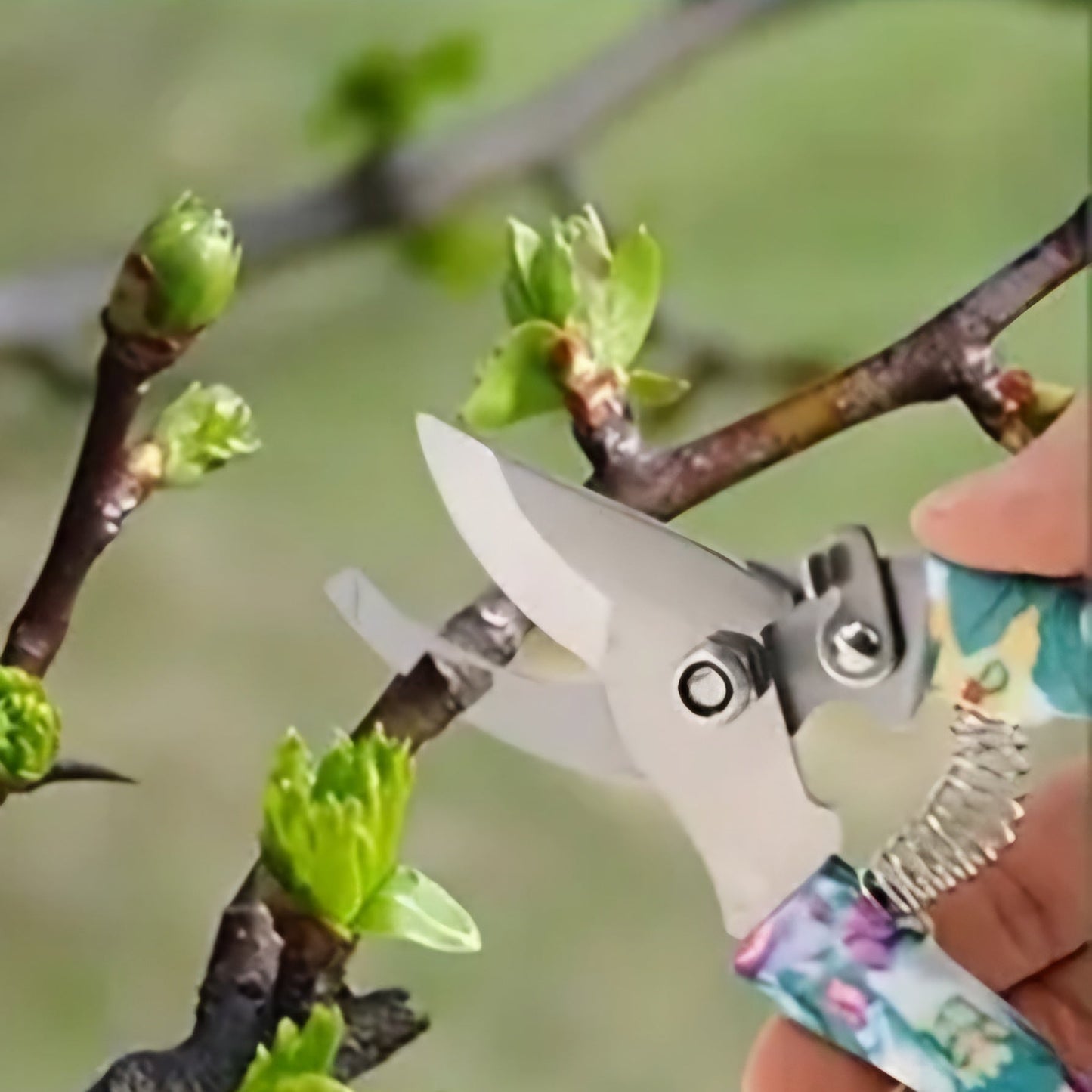 Mallette de jardinage toute fleurie