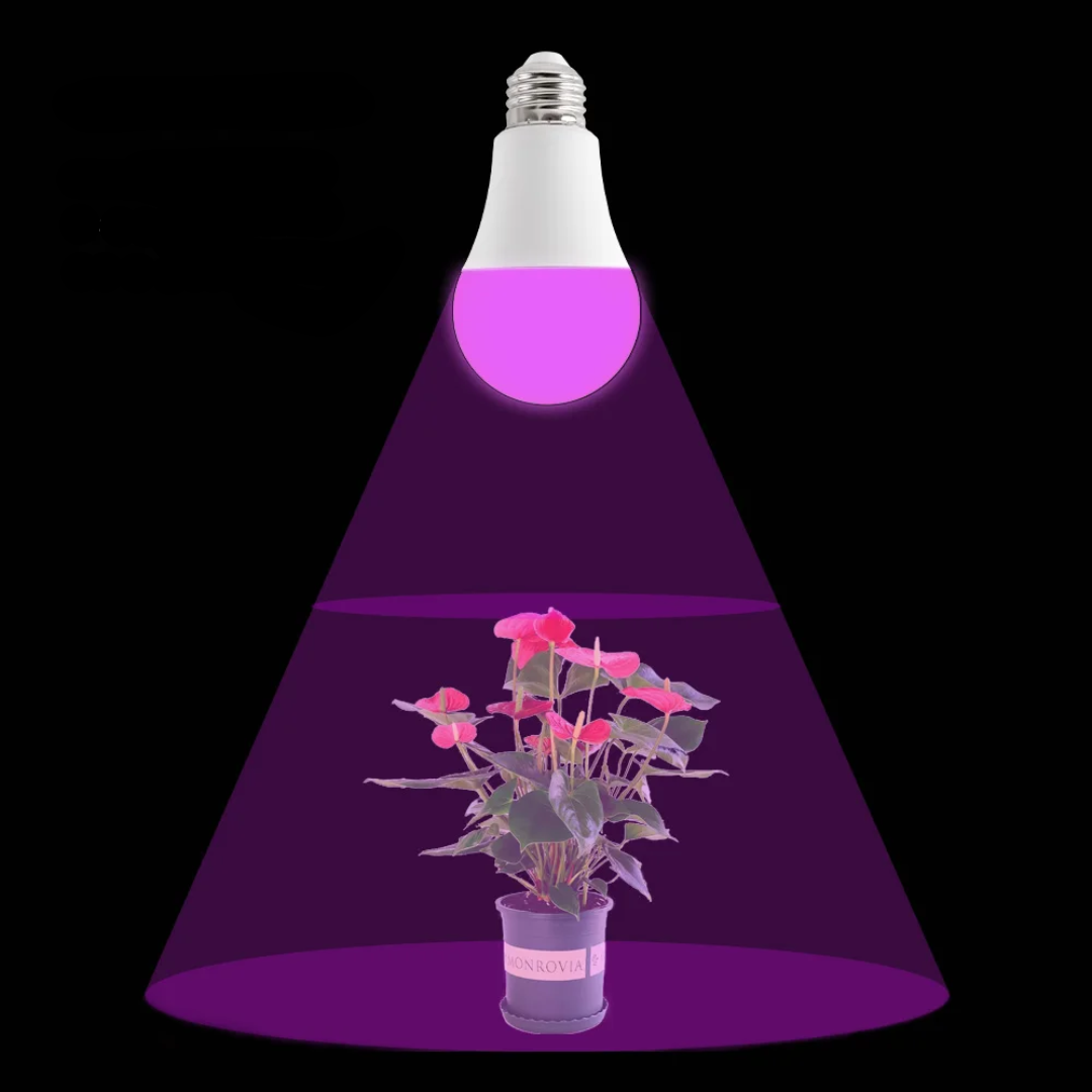 ampoule horticole de croissance