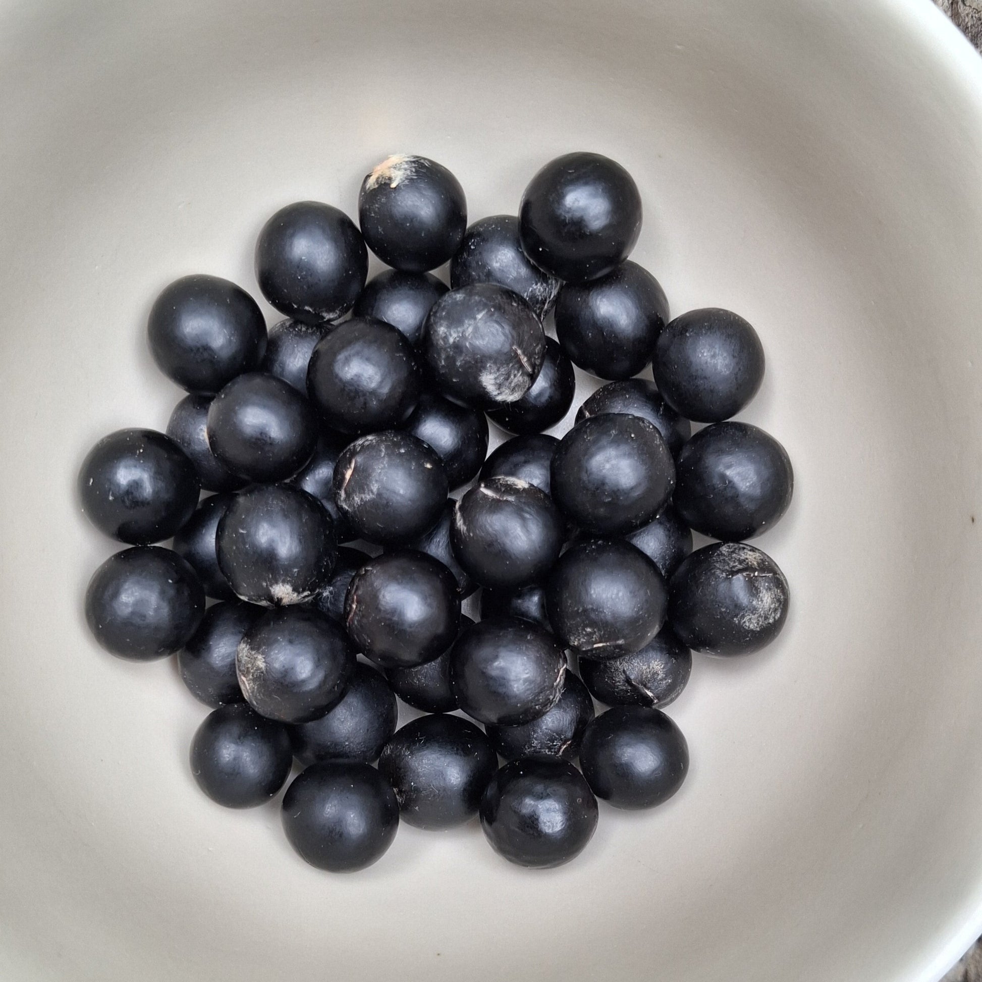 Graines du Sapindus Mukorossi, appelé aussi Arbre à savon 