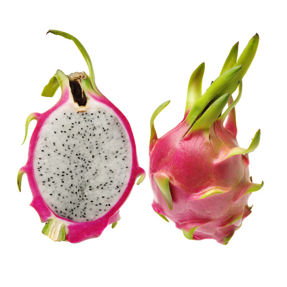 graines d'hylocereus undatus fruit du dragon à chair blanche