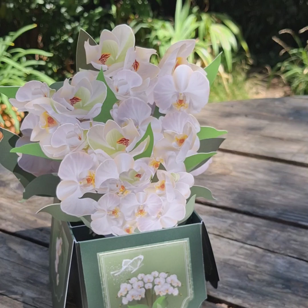 vidéo de notre carte de voeux en 3 dimensions représentant un bouquet d'orchidées blanches