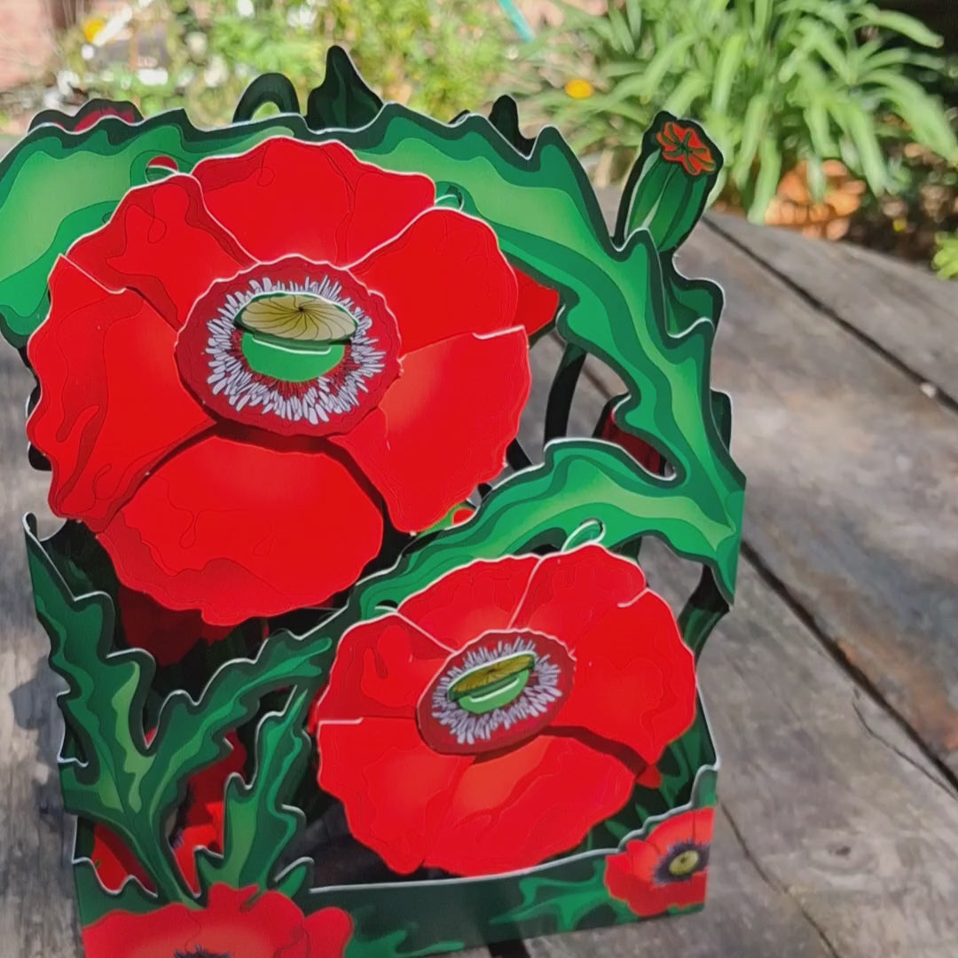 vidéo de la carte 3D coquelicots
